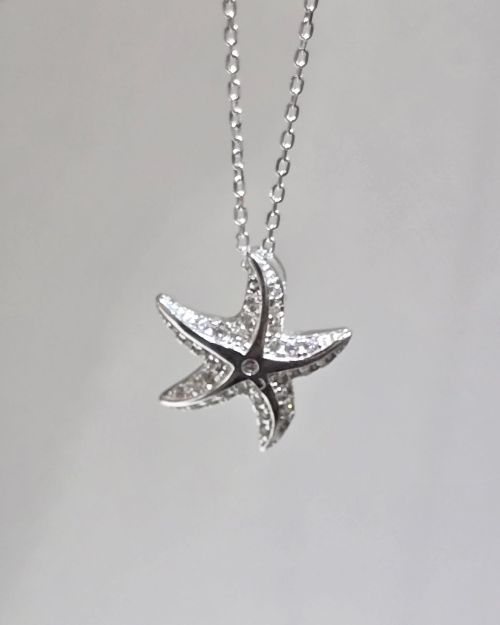 Cadena con dije Estrella de mar