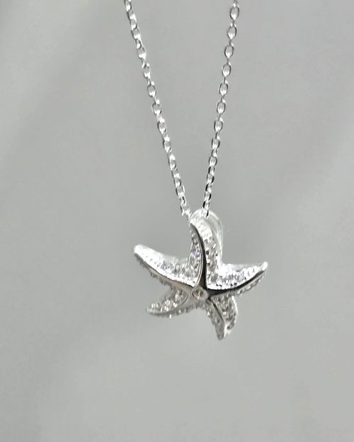 Cadena con dije Estrella de mar