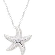 Conjunto estrella de mar 🐚 🌊 ✨️